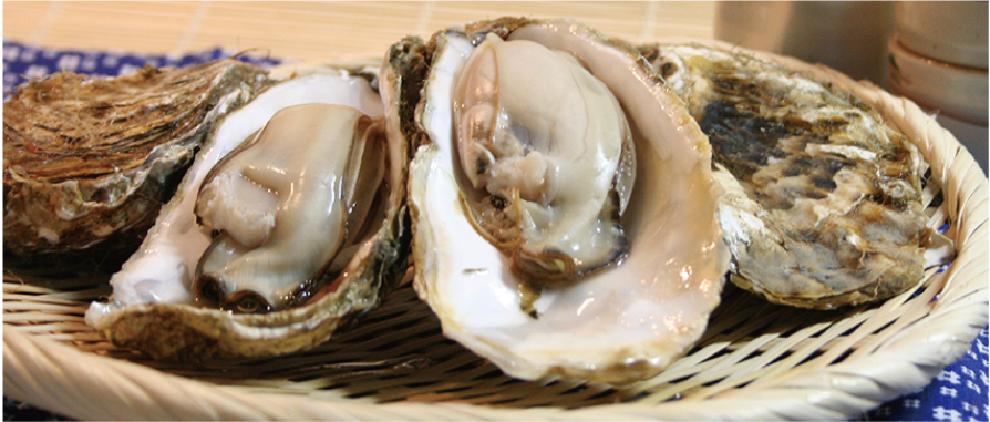 仙鳳趾の牡蠣販売 高橋水産